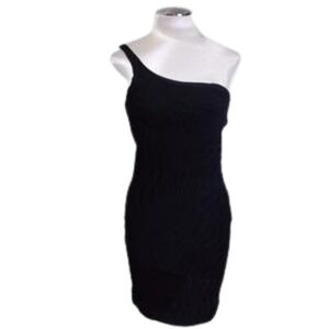 Torn by Ronny Kobo One Shoulder Black Dress